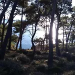 In Near Golf Course 普拉