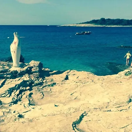 In Near Golf Course *