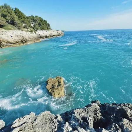 Apartman In Near Golf Course *