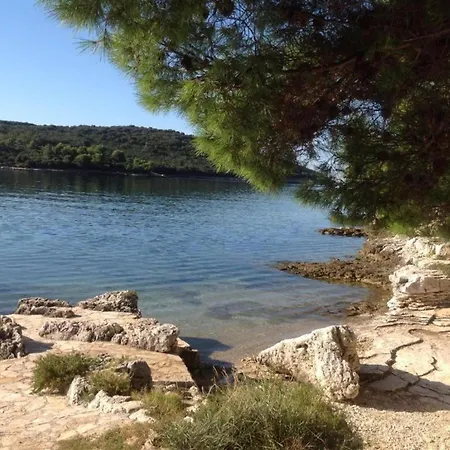 In Near Golf Course *