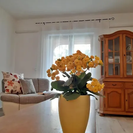 Apartman In Near Golf Course