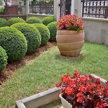 In Near Golf Course Apartment Pula