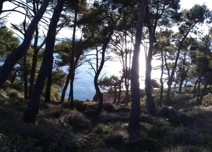 Apartman In Near Golf Course